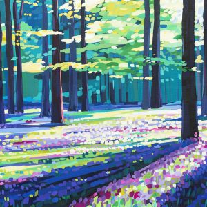 Beaumaris Bluebells