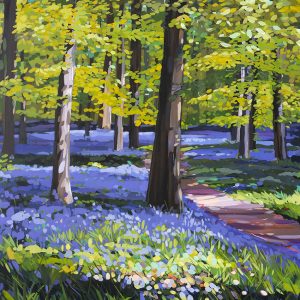 Pentraeth Bluebells