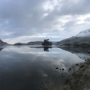 Cold Reflection