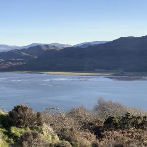 Estuary Panorama